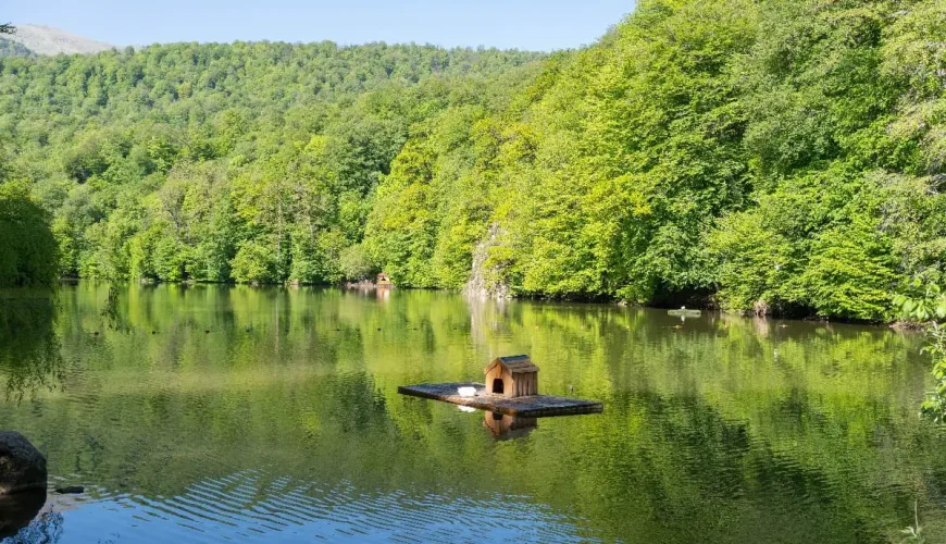 Озеро Парз Дилижан