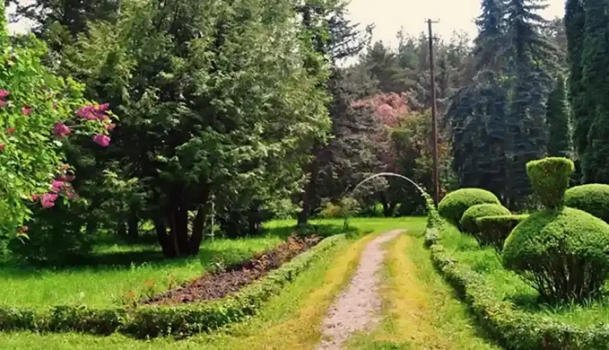 дендропарк степанаванн