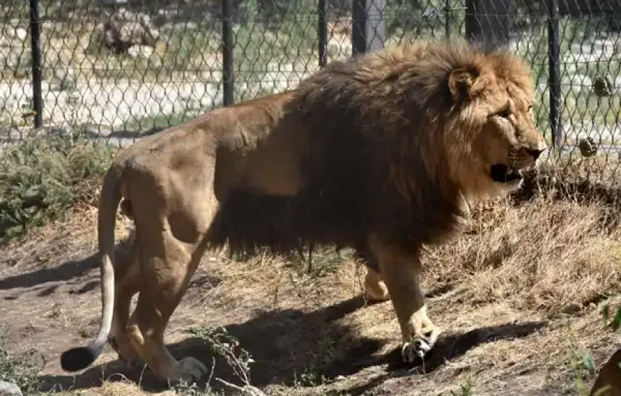 Семейный тур по Еревану — куда поехать с детьми в Ереване?