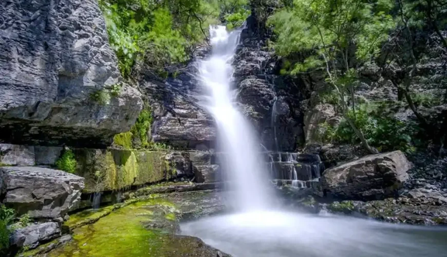 Khosrov Forest State