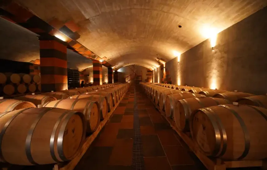 Кулинарный тур к озеру Севан: Однодневное гастрономическое путешествие по Армении