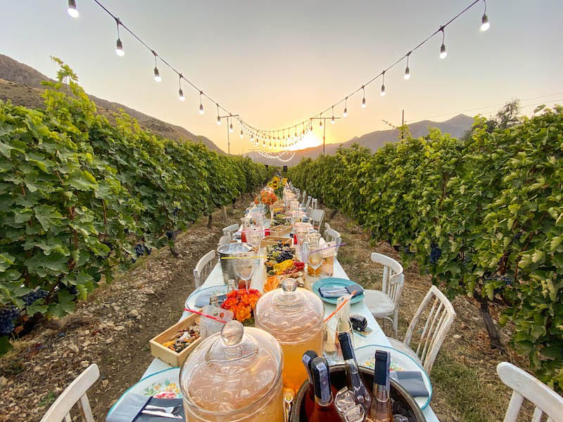 Armenia Wine Tour from Yerevan – Private Winery & Tasting Experience