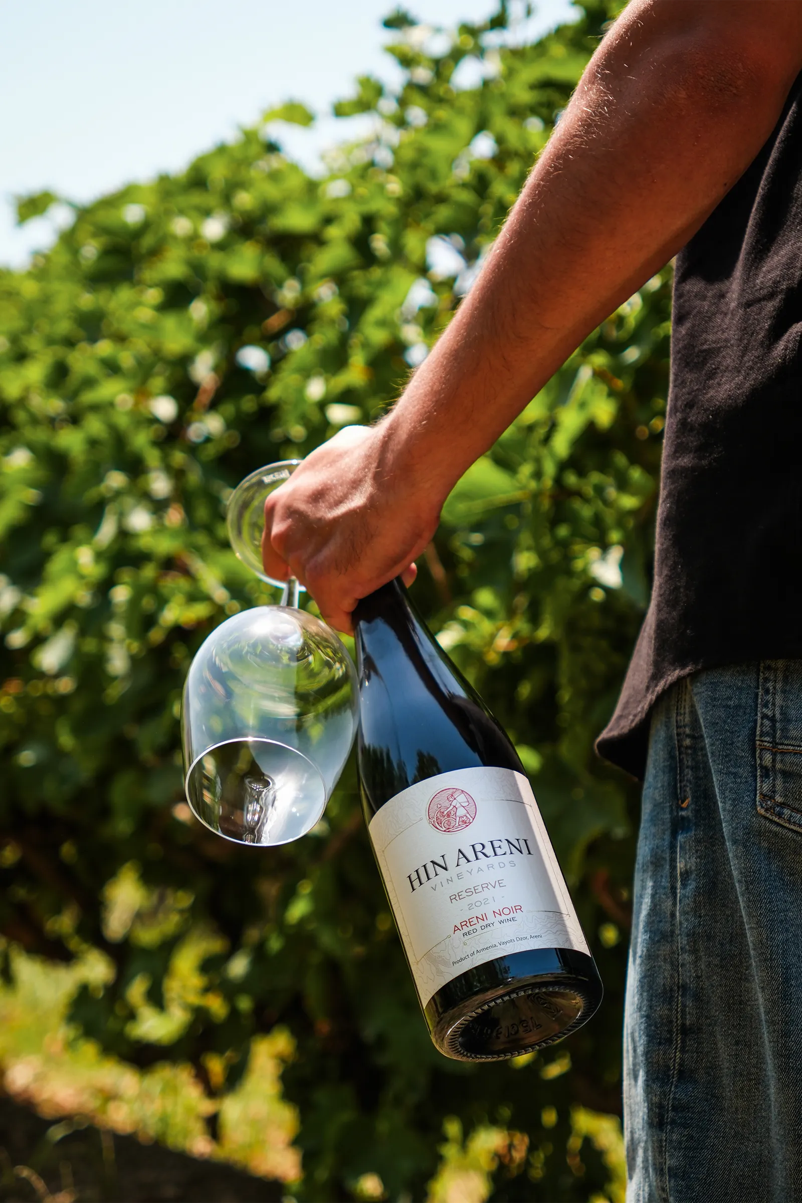 Private tour group at Hin Areni Winery tasting room, Armenia 