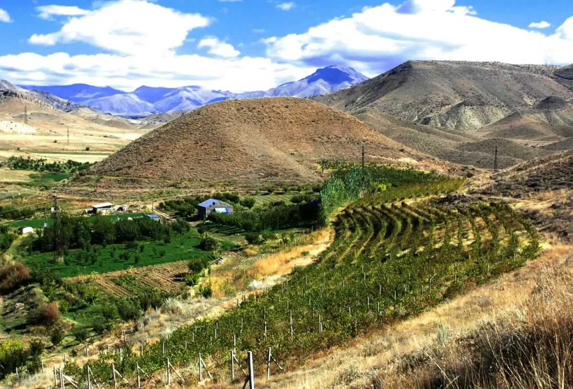 Armenia Wine Tour from Yerevan – Private Winery & Tasting Experience